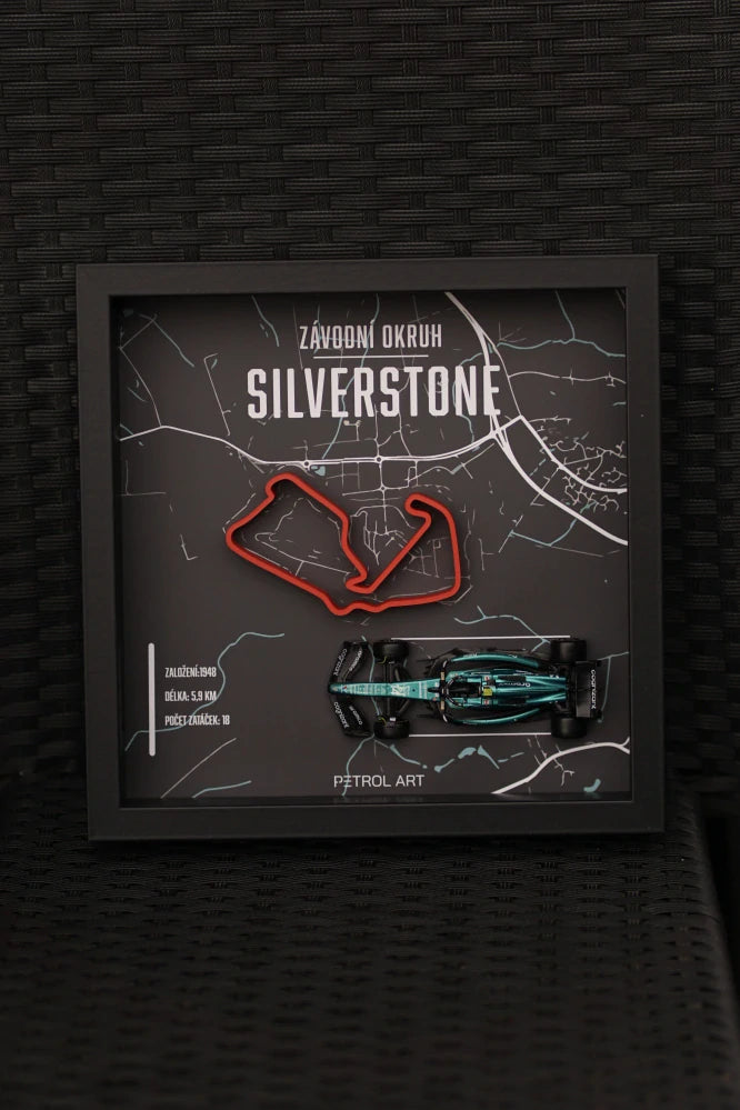 Petrol Art 3D Picture – Fernando Alonso, Silverstone