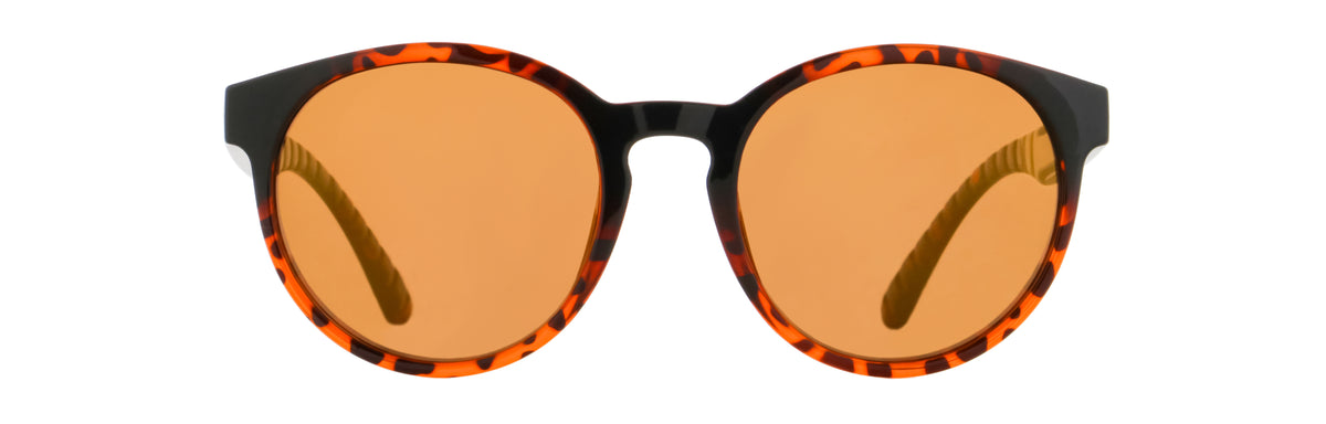 Red Bull Spect Sonnenbrille EVER braun-schwarz mit braunen Gläsern