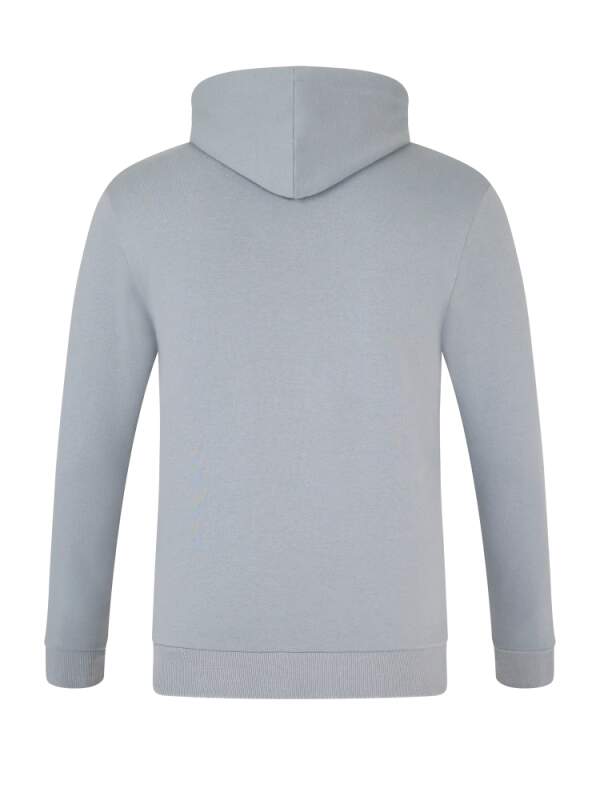 Oracle Red Bull Racing casual sweatshirt with logo, grey CORE