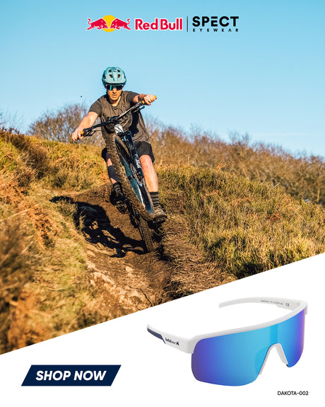 Red Bull Spect DUNDEE sunglasses, blue with blue lens
