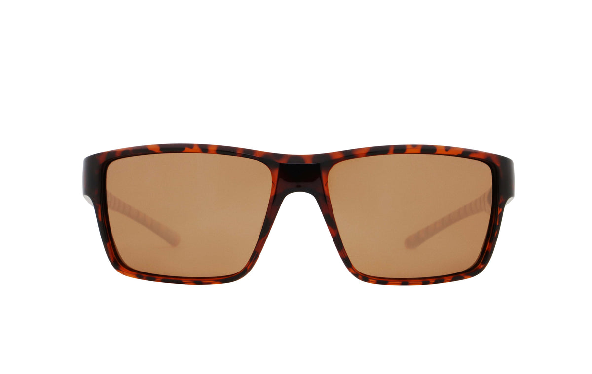 Red Bull Spect CHASE sunglasses brown with brown lenses